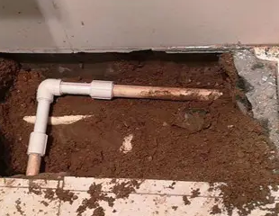 随州测漏水哪家好