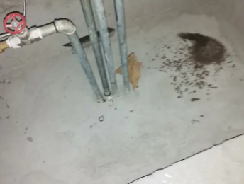 随州卫生间测漏水价格明细