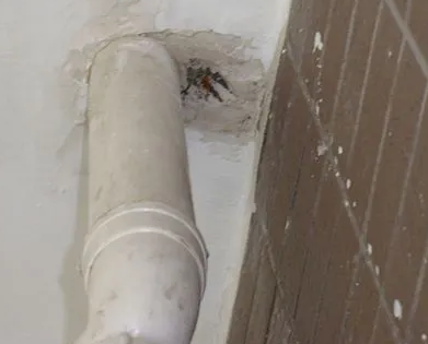 随州漏水检测哪家好